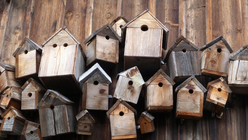 mangeoires oiseaux.jpg